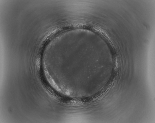 X0000112930644200909211114