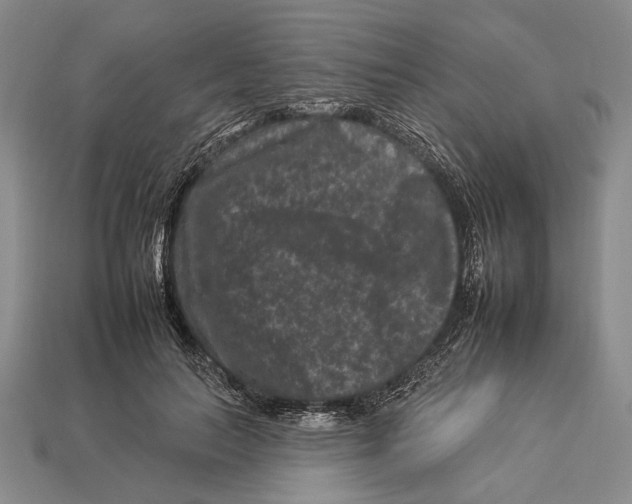 X0000112930647200909211114