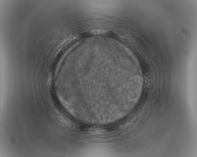X0000112930648200909211114