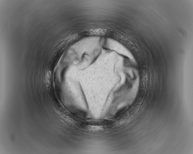 X0000112930649200909211114