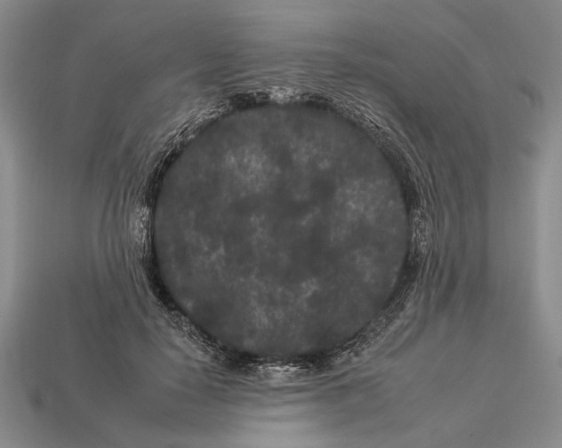 X0000112930650200909211114