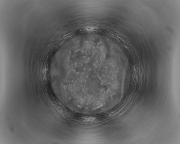 X0000112930651200909211114