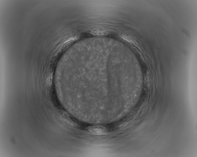 X0000112930652200909211114