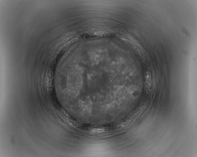 X0000112930653200909211114