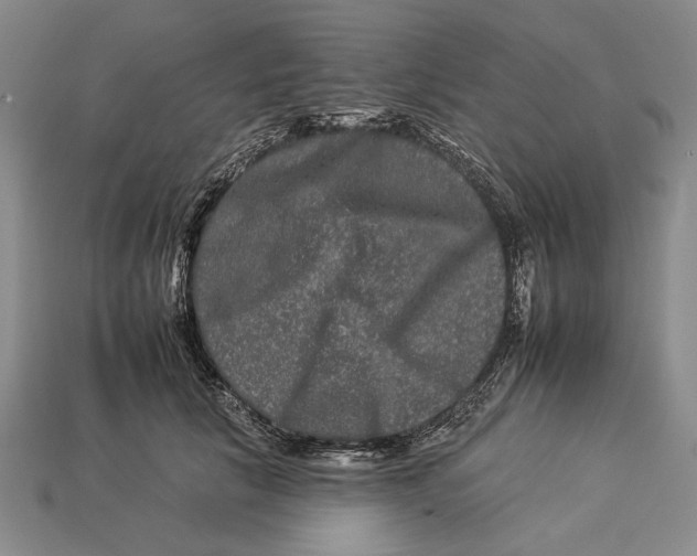 X0000112930657200909211114
