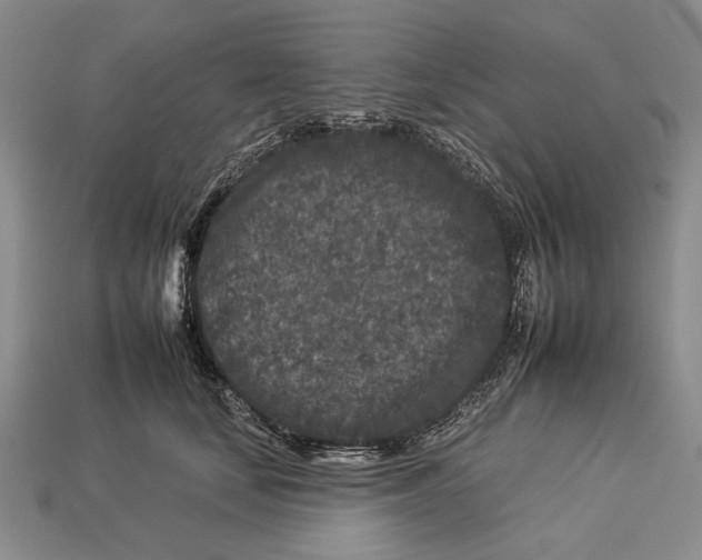 X0000112930659200909211114