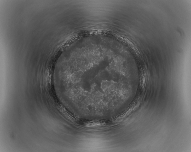 X0000112930661200909211114