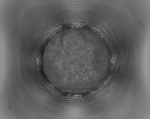 X0000112930663200909211115