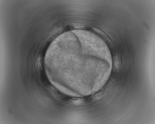 X0000112930667200909211115