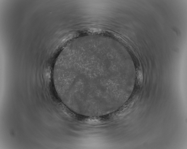 X0000112930668200909211115