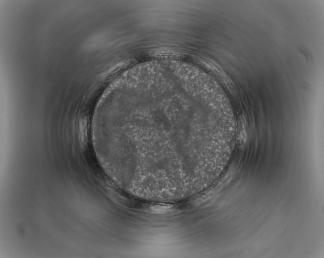 X0000112930669200909211115