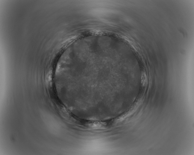 X0000112930670200909211115
