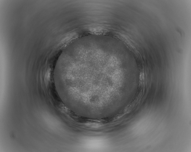 X0000112930671200909211115
