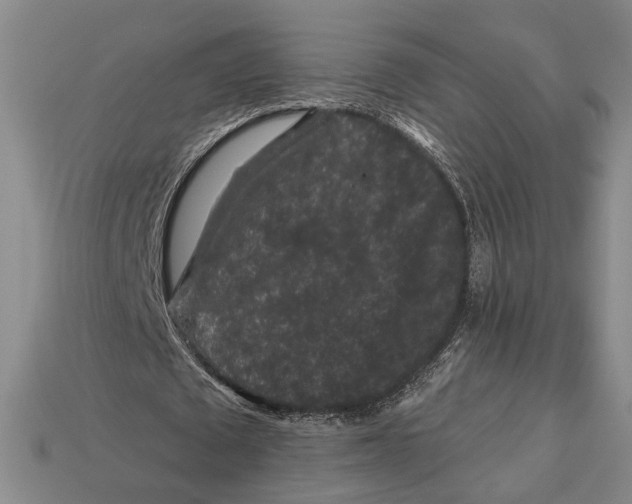 X0000112930673200909211114