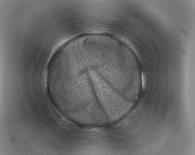 X0000112930675200909211114