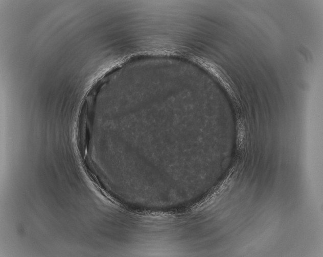 X0000112930677200909211114