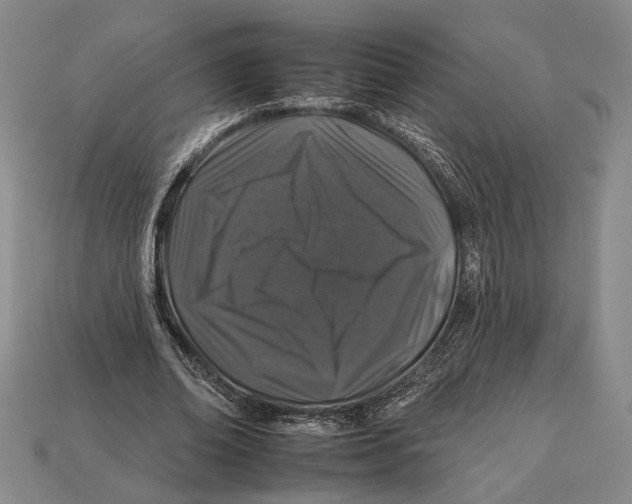 X0000112930678200909211114