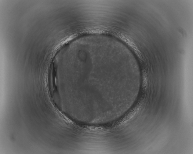 X0000112930681200909211114