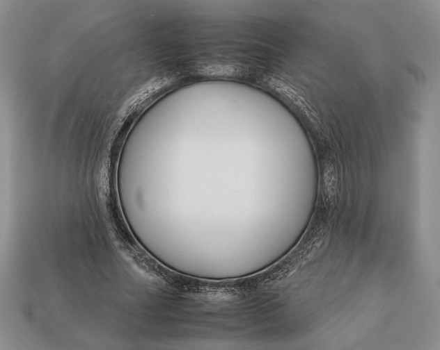 X0000112930682200909211114