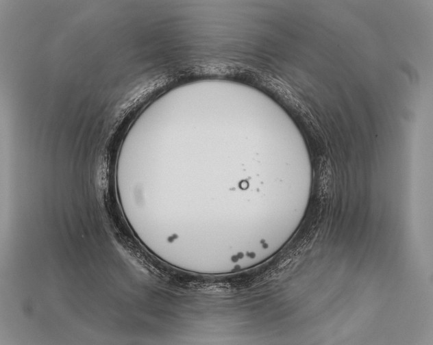 X0000112930683200909211114
