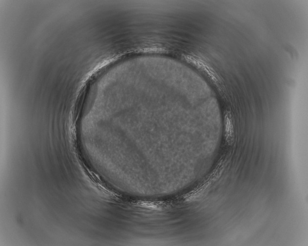 X0000112930684200909211114