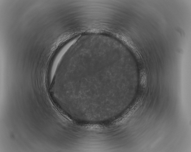 X0000112930685200909211114
