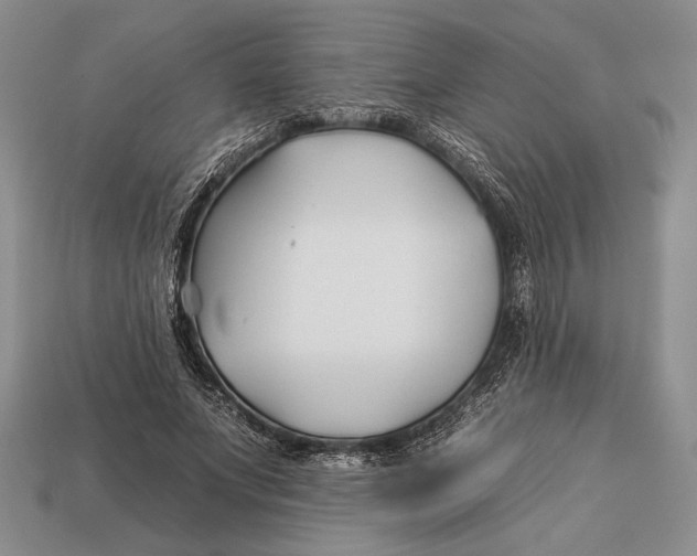 X0000112930687200909211114