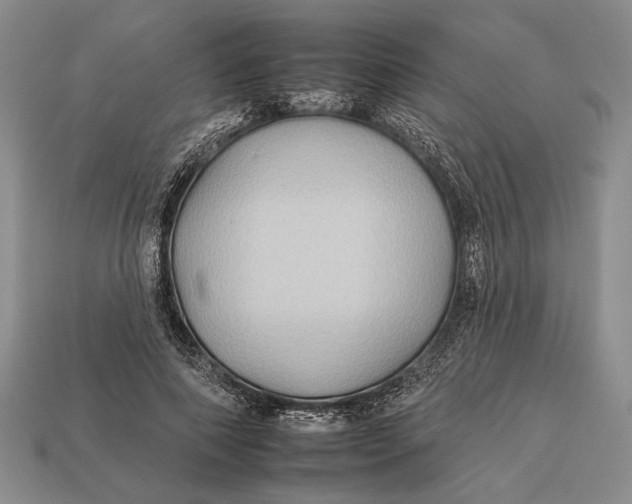 X0000112930690200909211114