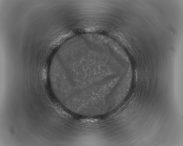 X0000112930691200909211114