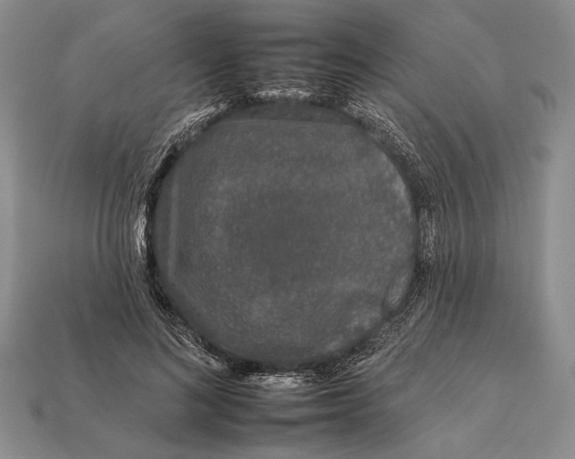 X0000112930692200909211114
