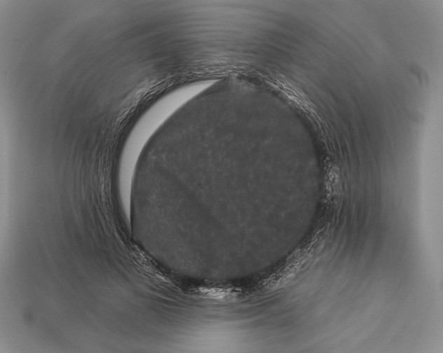 X0000112930693200909211114