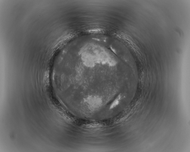 X0000112930696200909211114