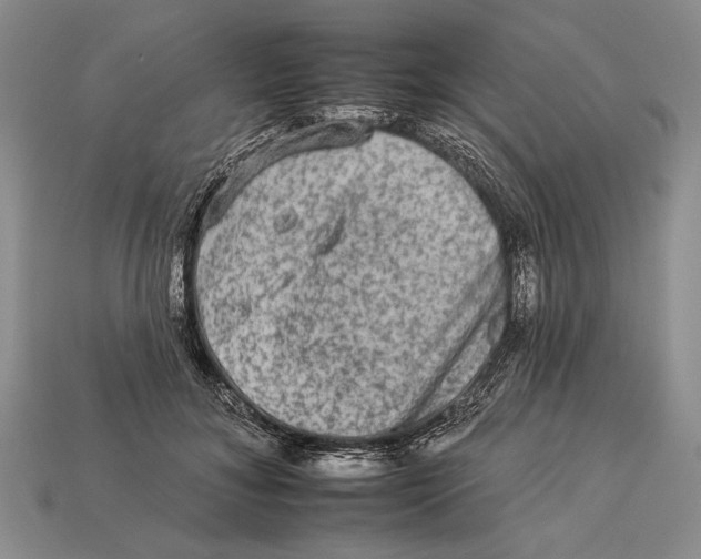X0000112930700200909211114