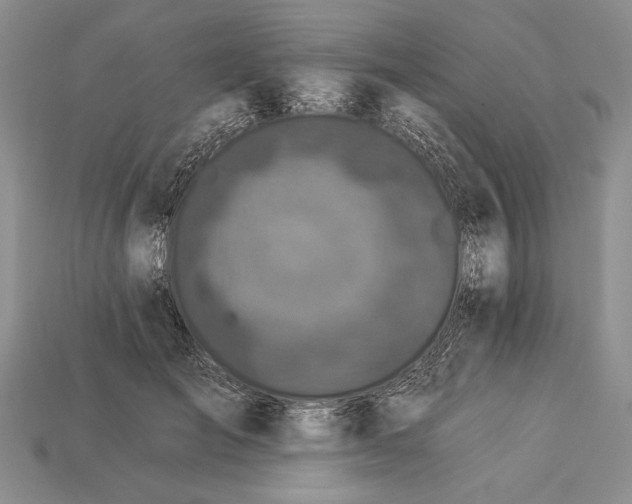X0000112930701200909211114