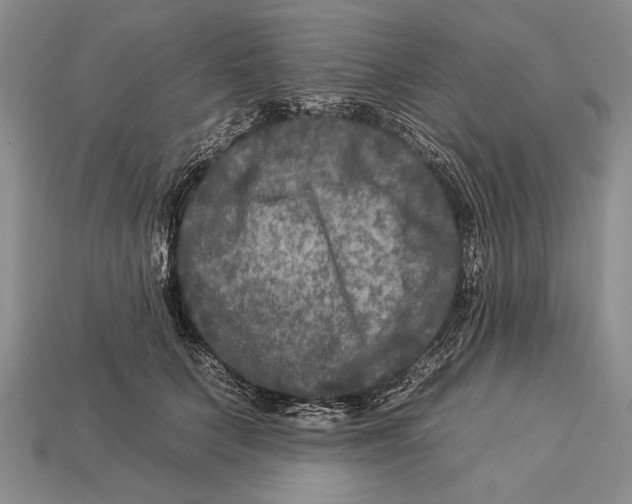 X0000112930703200909211114