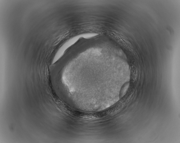 X0000112930704200909211114