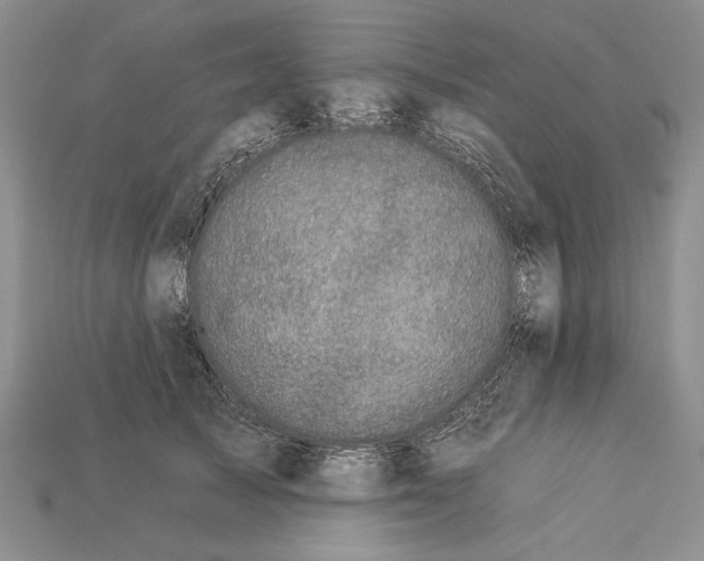 X0000112930705200909211114