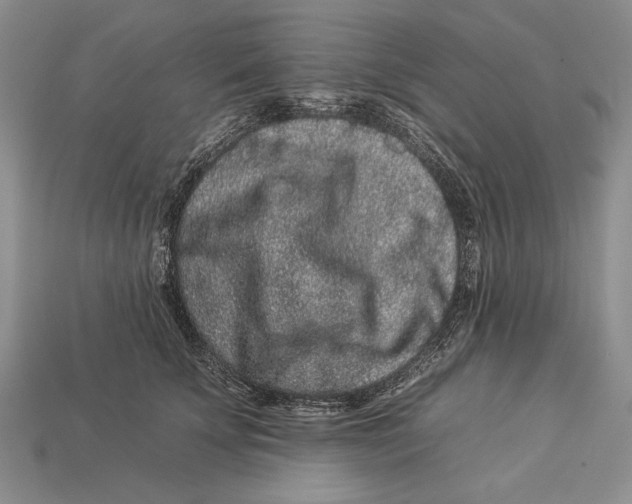 X0000112930707200909211114