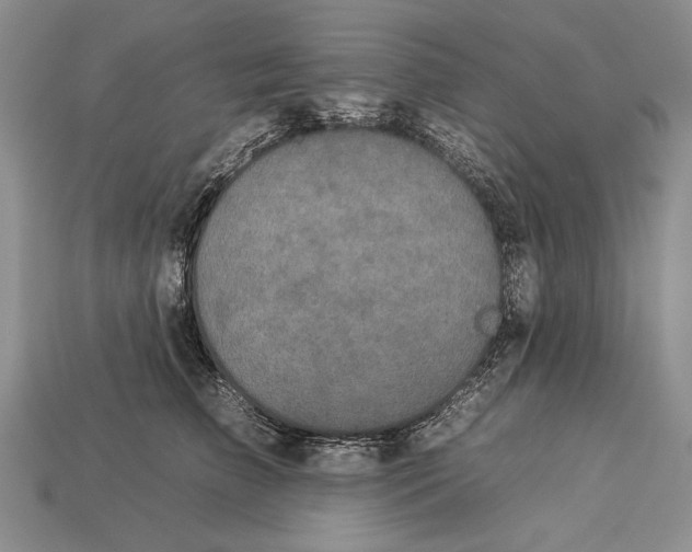 X0000112930709200909211114