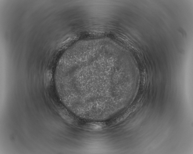 X0000112930711200909211114