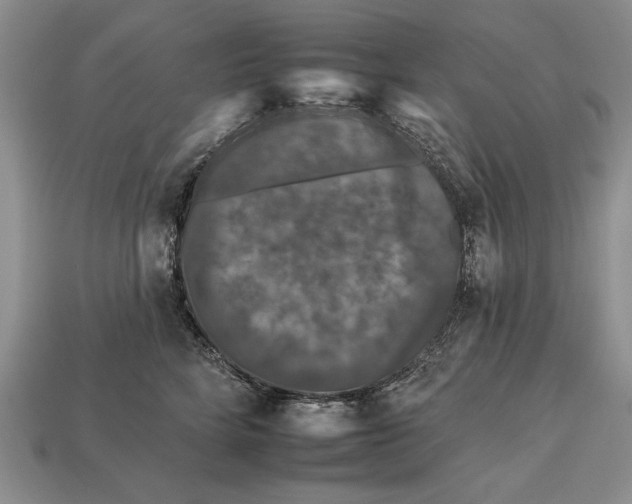 X0000112930712200909211114