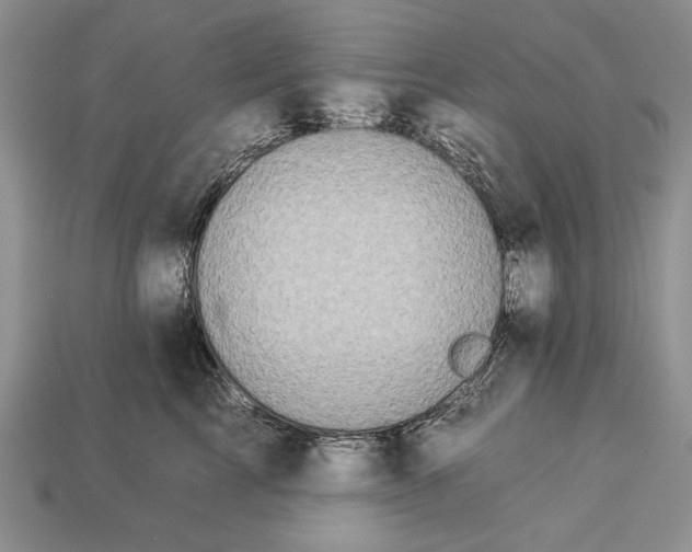 X0000112930713200909211114
