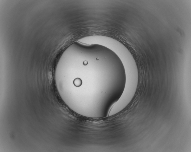 X0000112930716200909211113