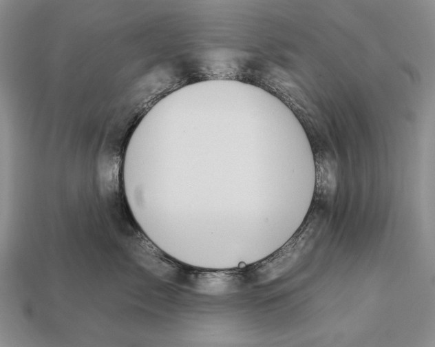 X0000112930717200909211113