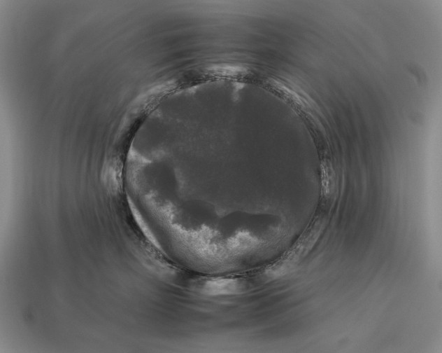X0000112930718200909211113
