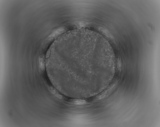 X0000112930719200909211113