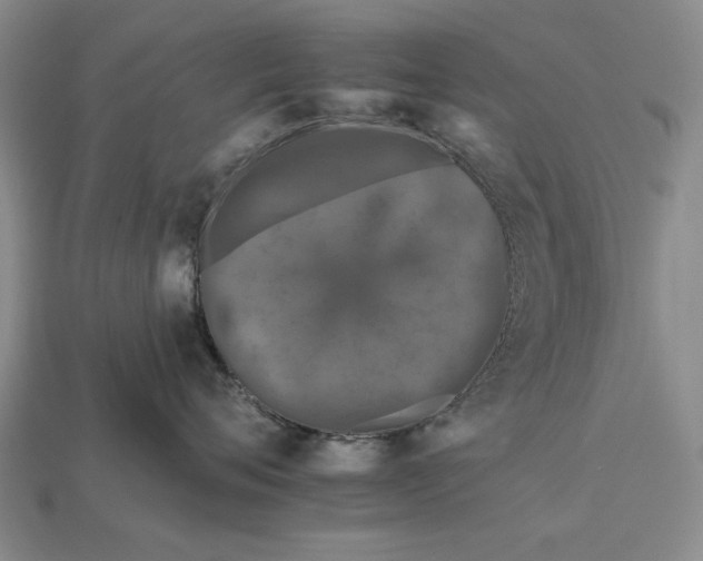 X0000112930720200909211113