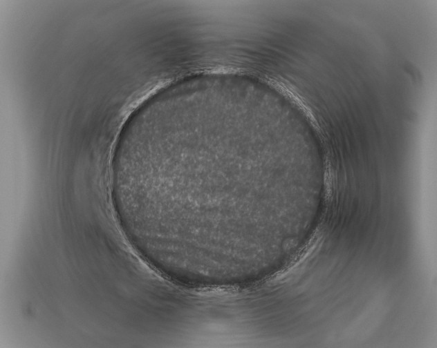 X0000112930721200909211113