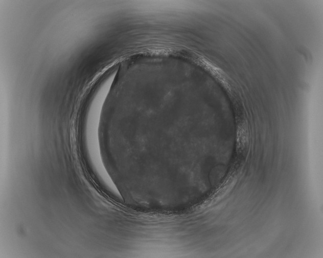 X0000112930722200909211113