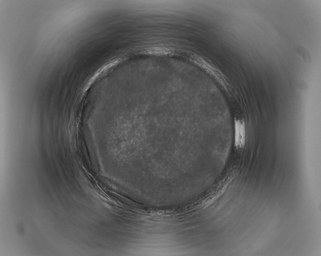 X0000112930723200909211113